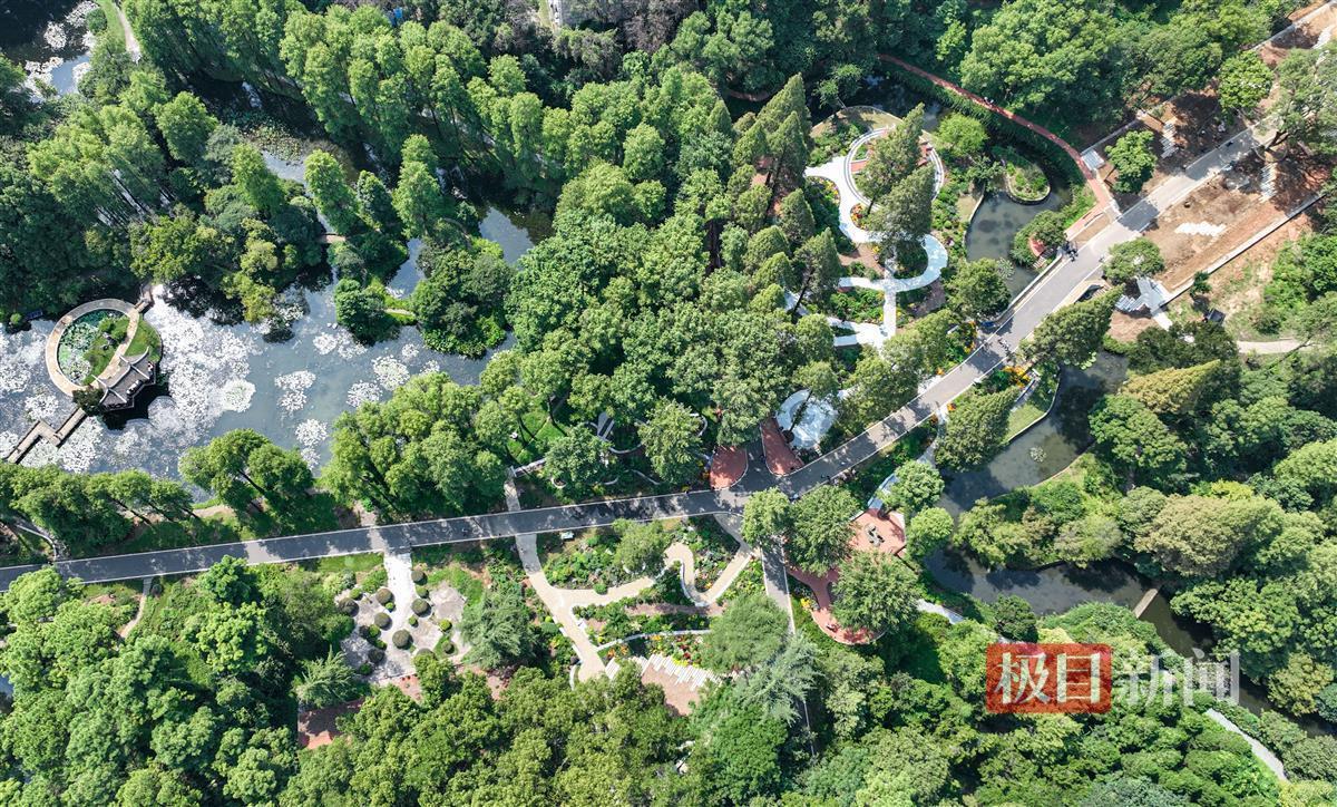 糖果派对个人彩金上限